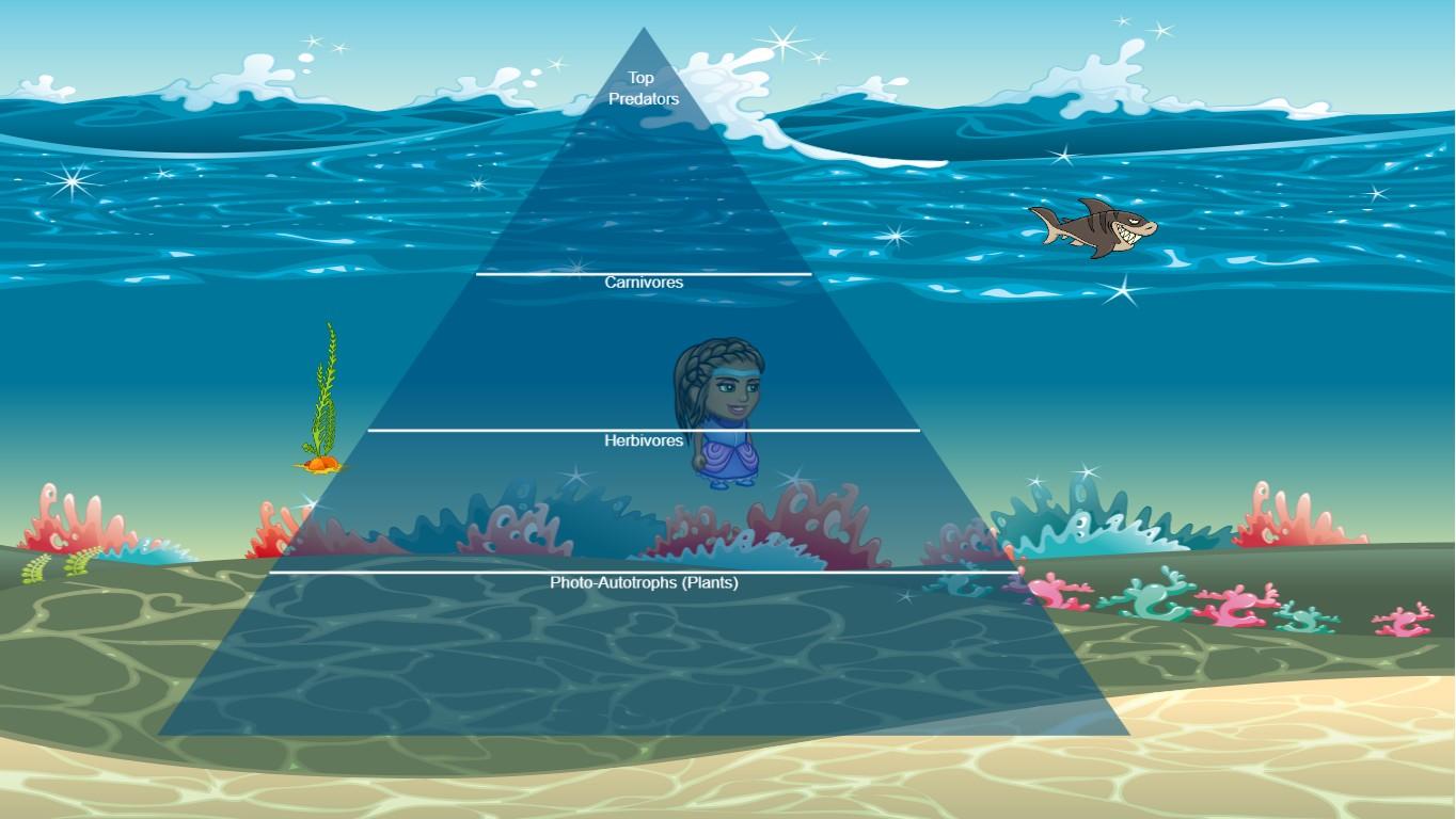 Ocean Ecological Pyramid