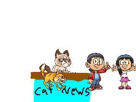 cat news