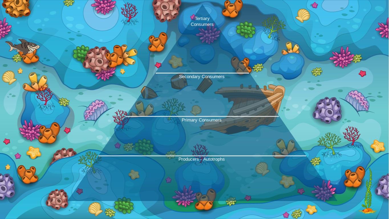 Ocean Ecological Pyramid