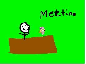 Meeting