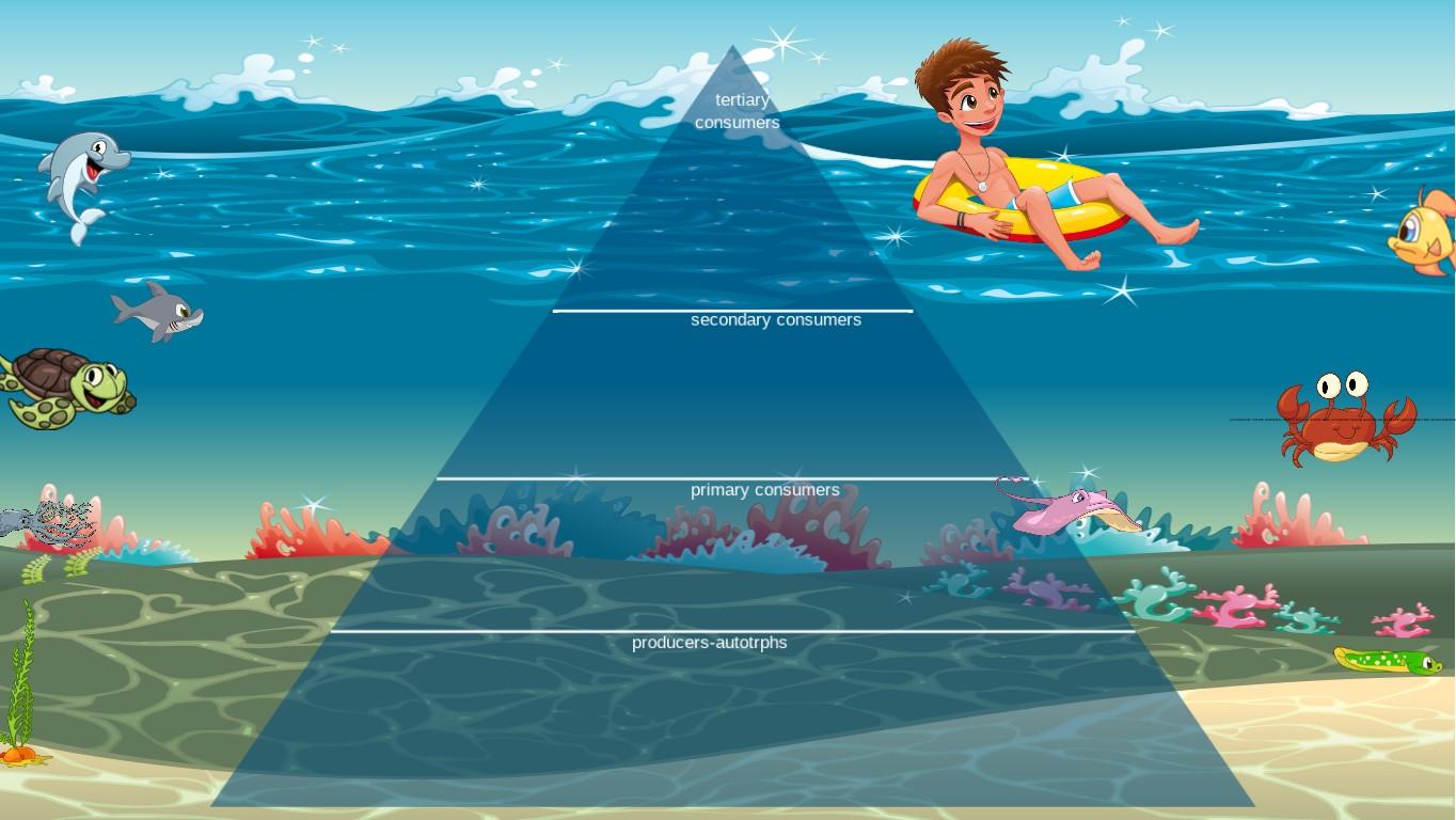 Ocean Ecological Pyramid