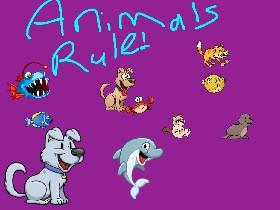 Animals