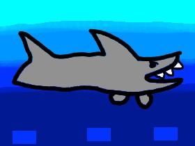 Shark! 1