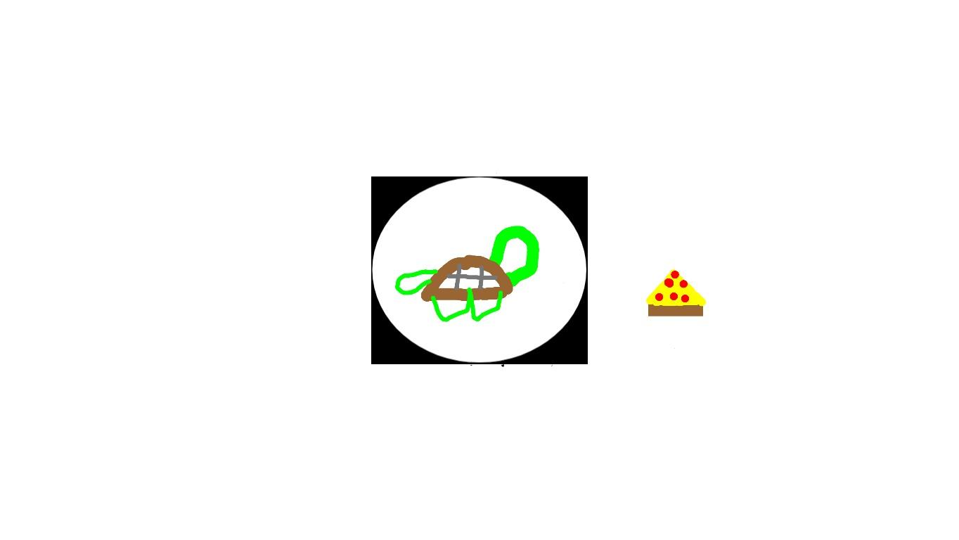 give turtle pizza