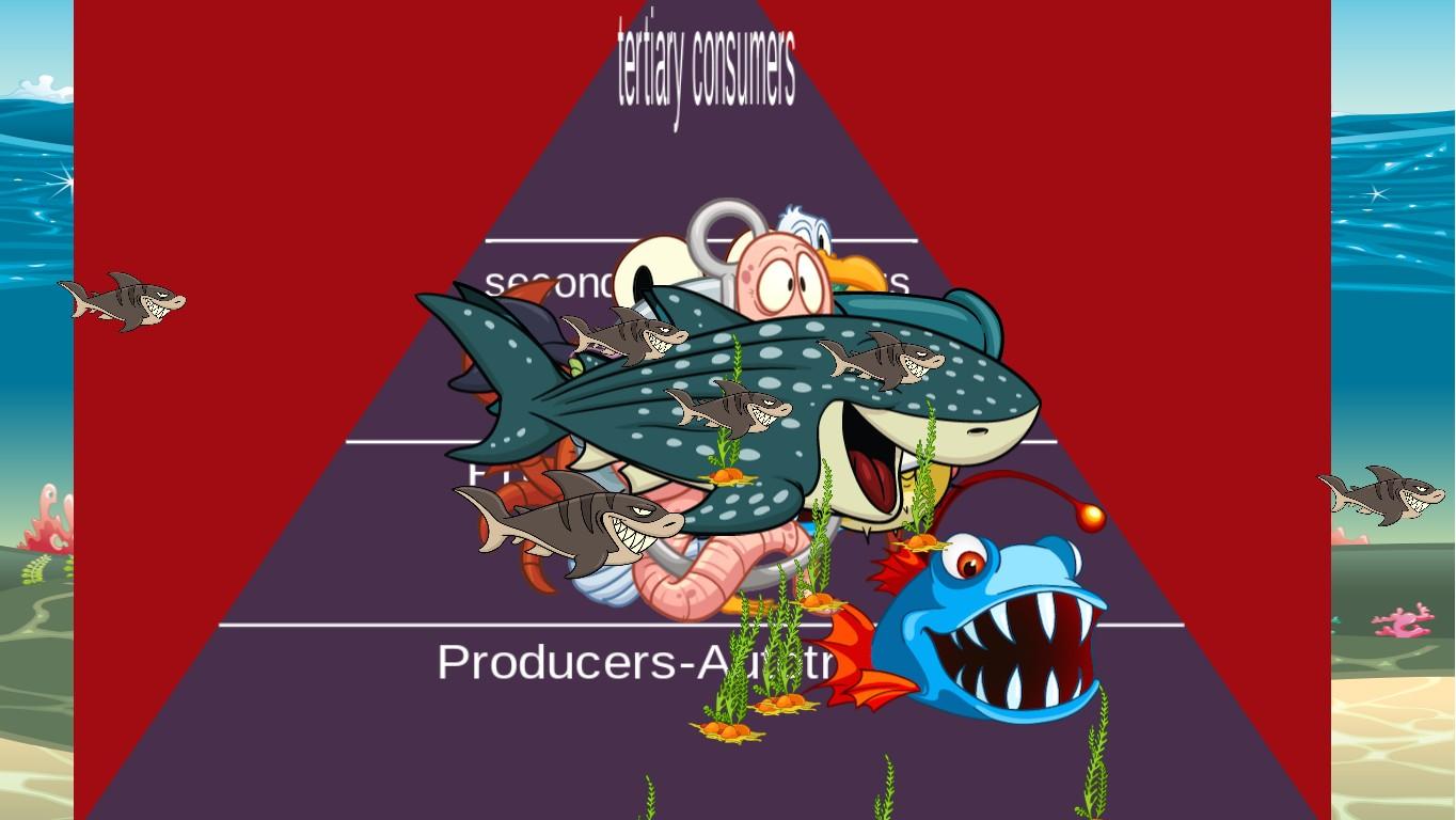 Ocean Ecological Pyramid