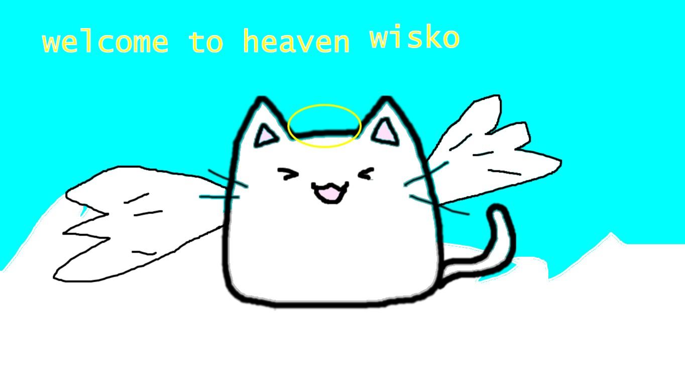 RIP wisko