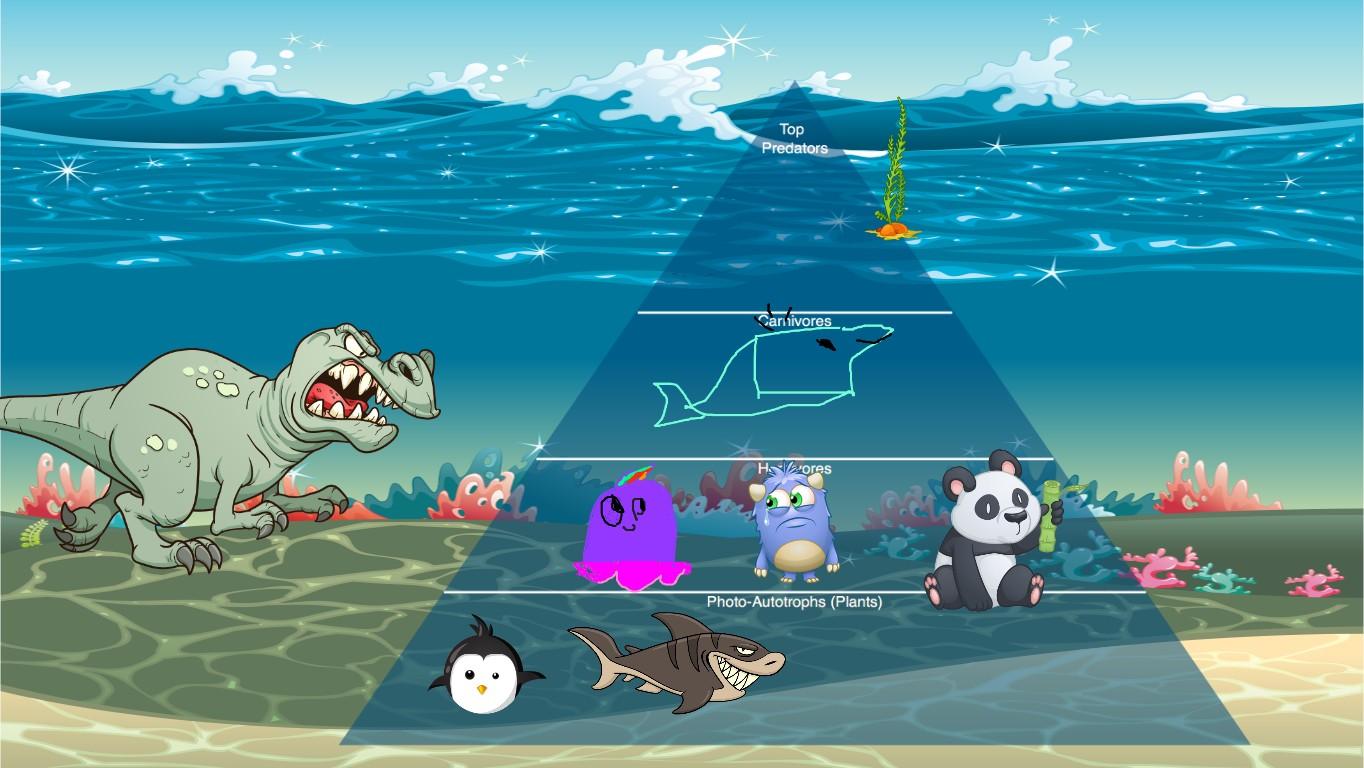 Ocean Ecological Pyramid