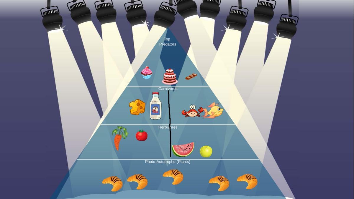 Ocean Ecological Pyramid