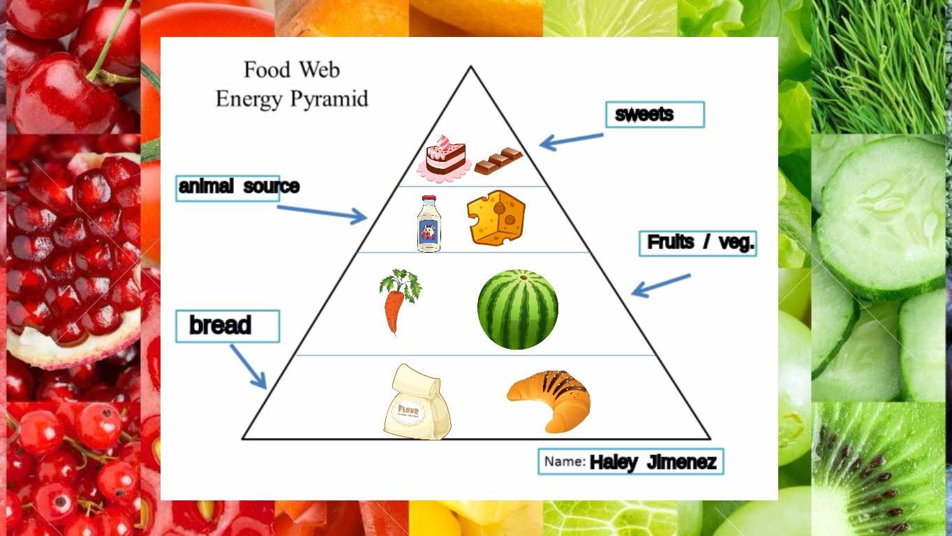 Food Pyramid