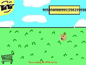 Doge Clicker BETA 1 1