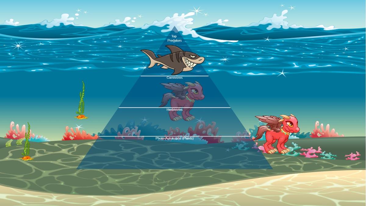 Ocean Ecological Pyramid