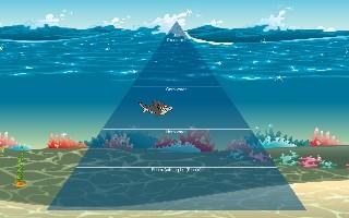 Ecological Pyramid 1