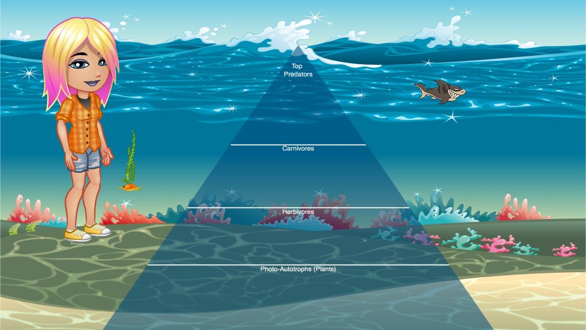 Ocean Ecological Pyramid