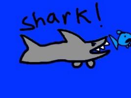 Shark! 1