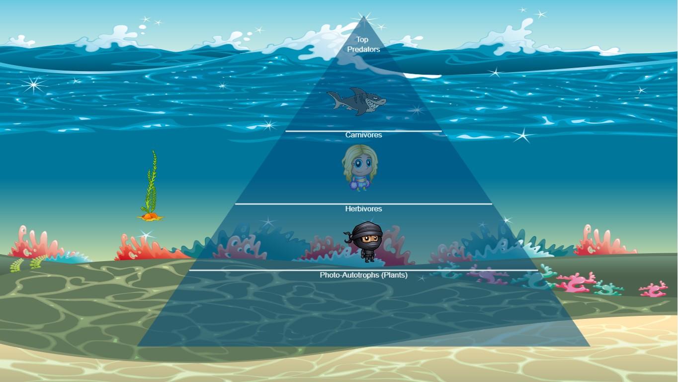 Ocean Ecological Pyramid