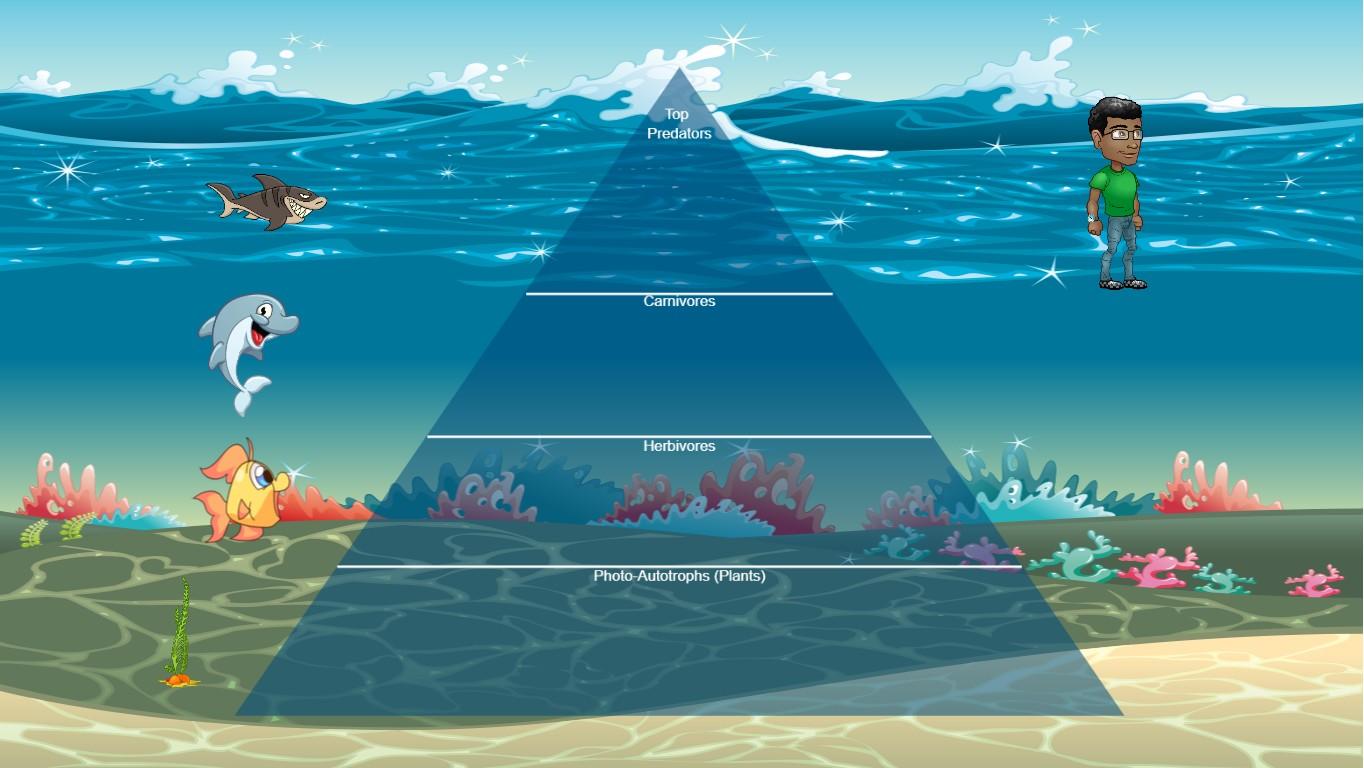 Ocean Ecological Pyramid