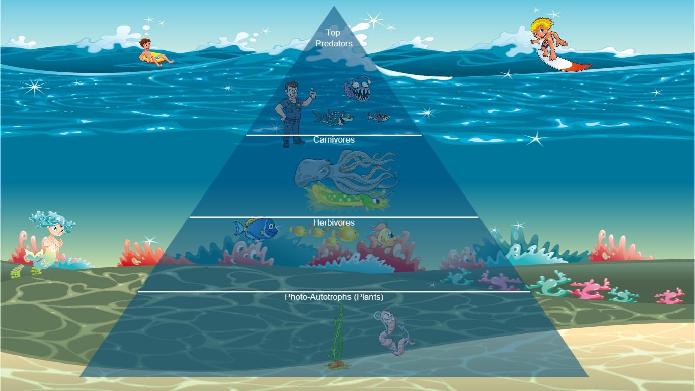 Ocean Ecological Pyramid