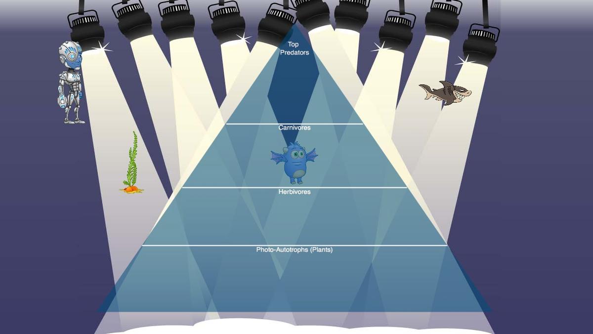 Ocean Ecological Pyramid