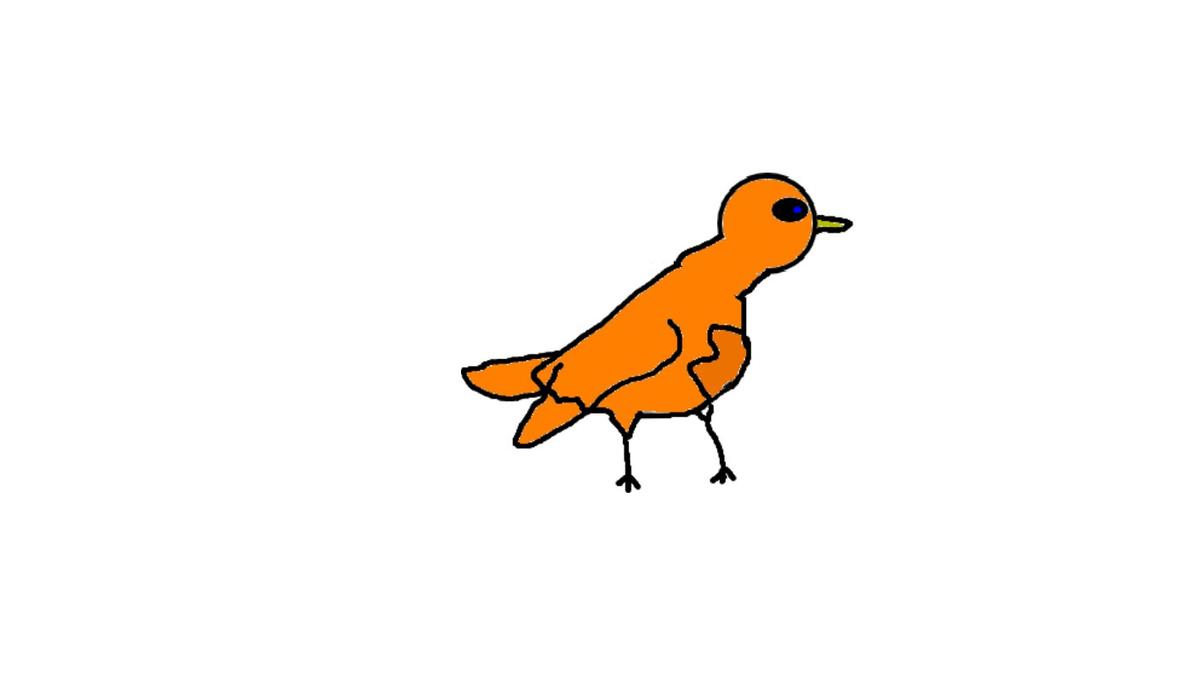 some random bird ok?