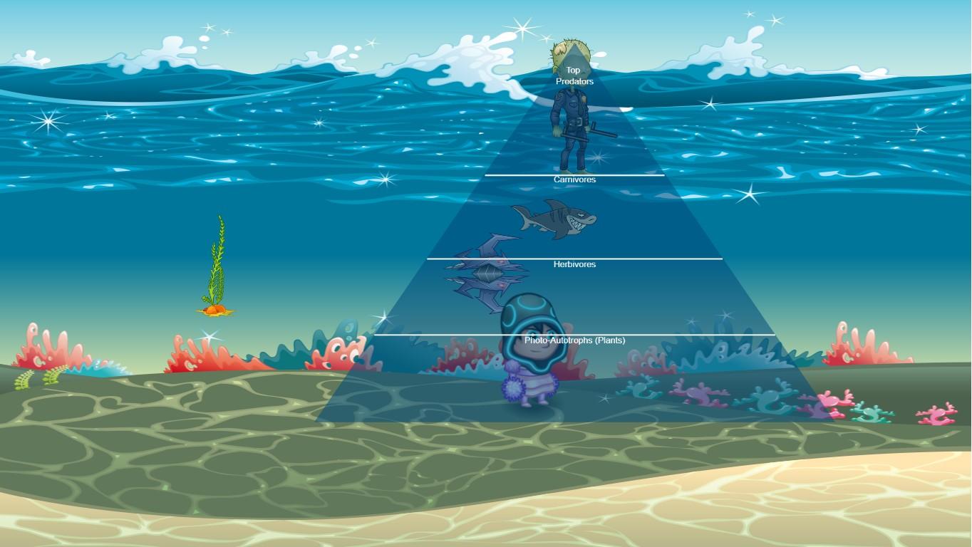 Ocean Ecological Pyramid