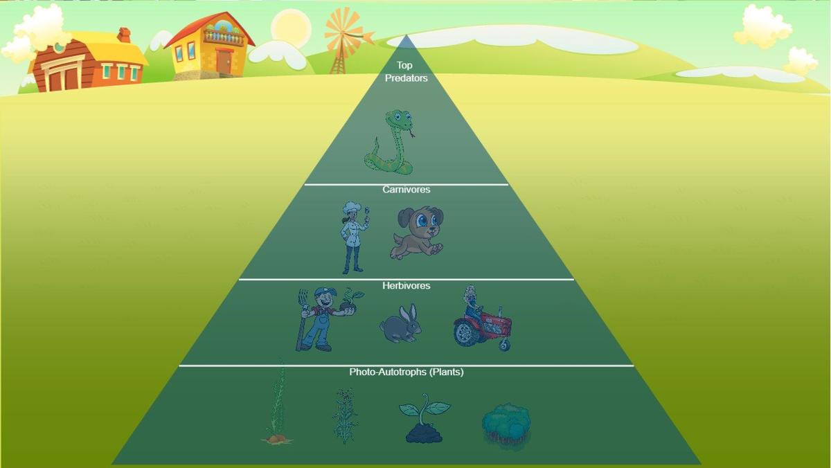 Ocean Ecological Pyramid