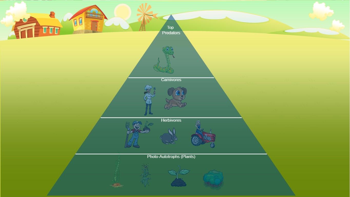 Ocean Ecological Pyramid