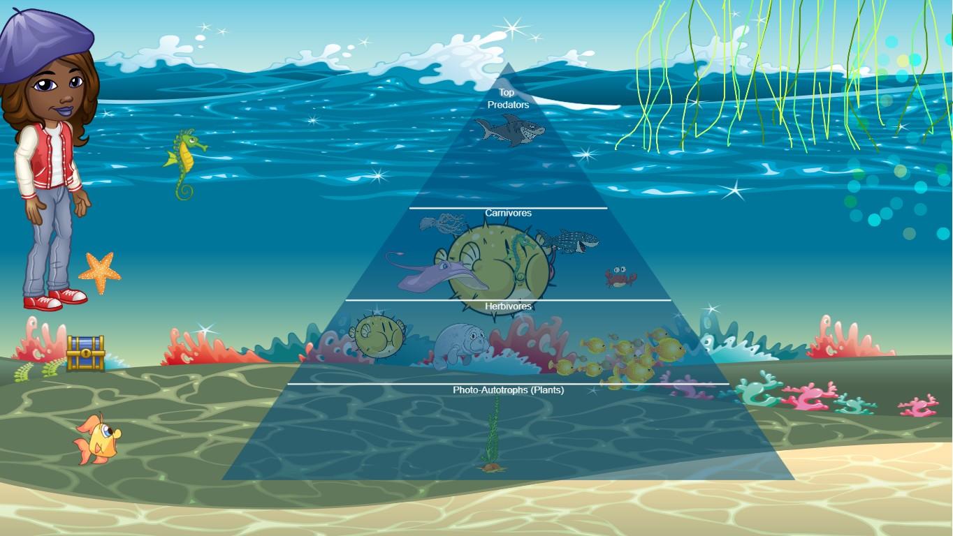 Ocean Ecological Pyramid