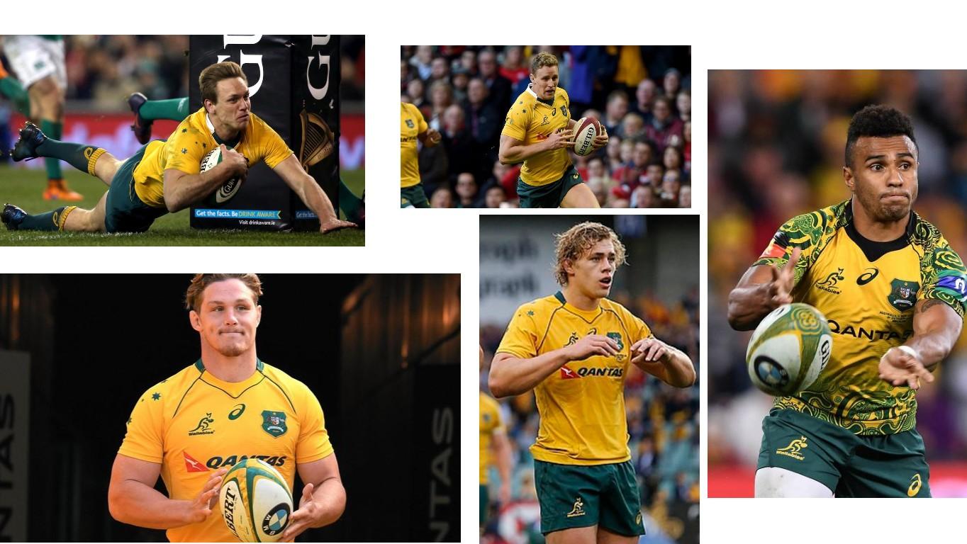 wallabies