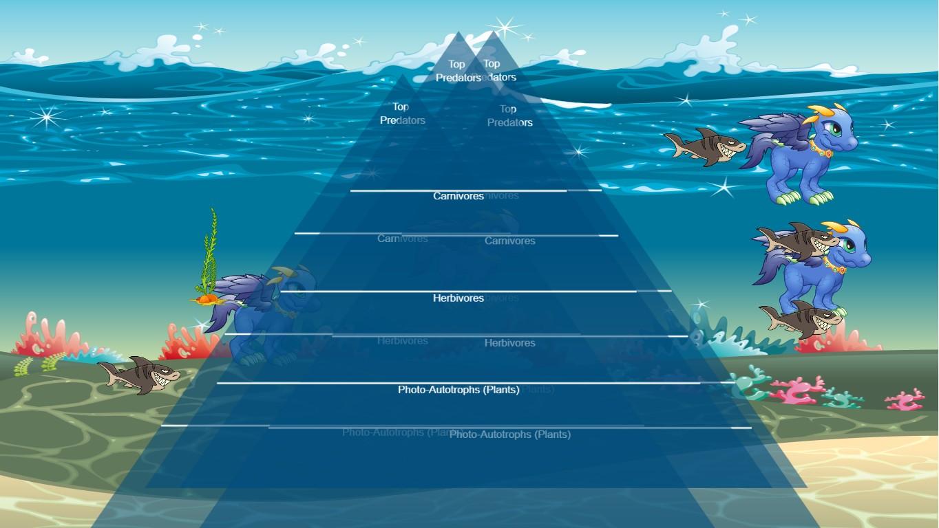 Ocean Ecological Pyramid