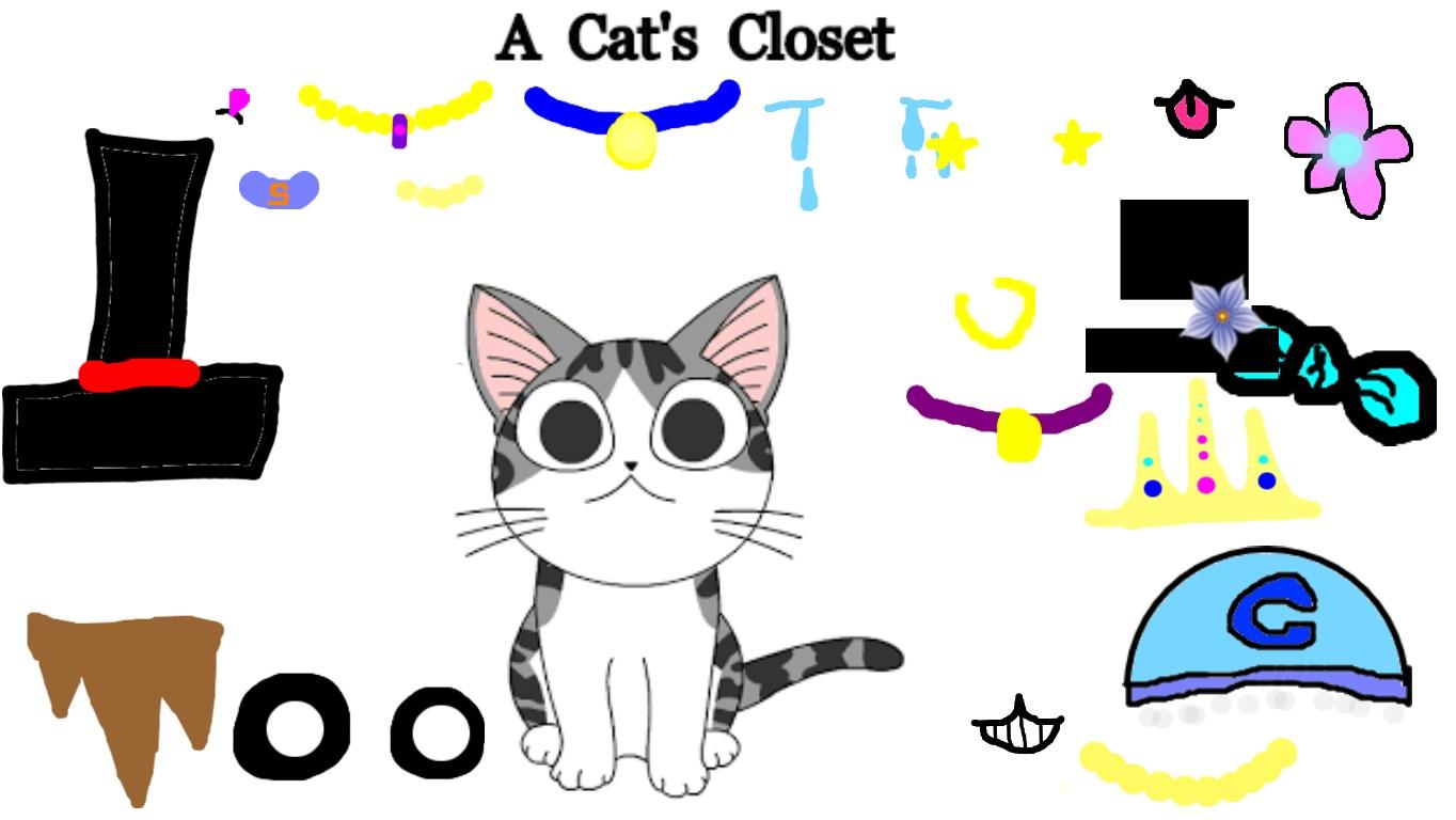 A Cat's Closet