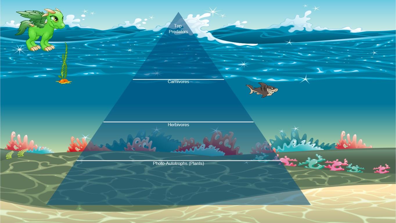 Ocean Ecological Pyramid