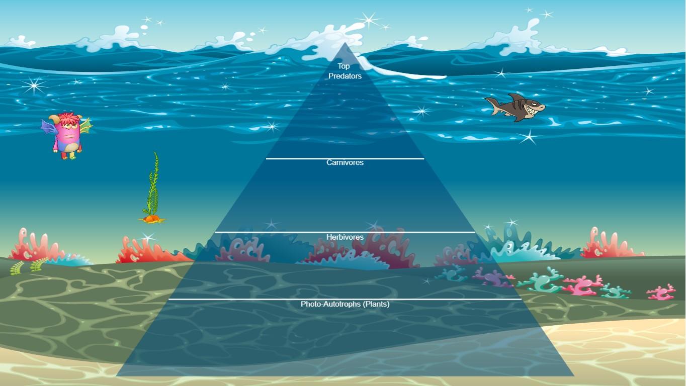 Ocean Ecological Pyramid