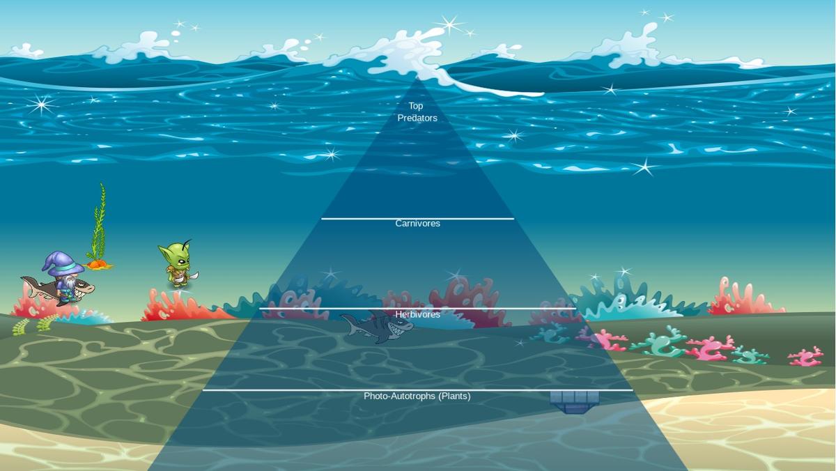 Ocean Ecological Pyramid