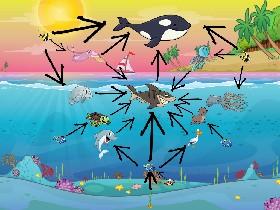 Animal food chain