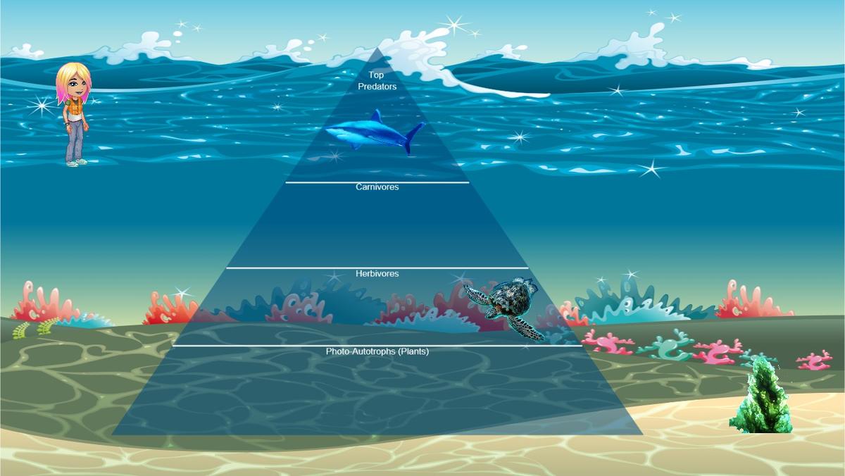 Ocean Ecological Pyramid