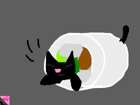 My Sushi cat!