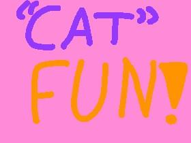 Cat fun