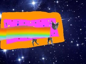 Real nyan cat 1