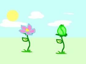 A Cute Flower Animation