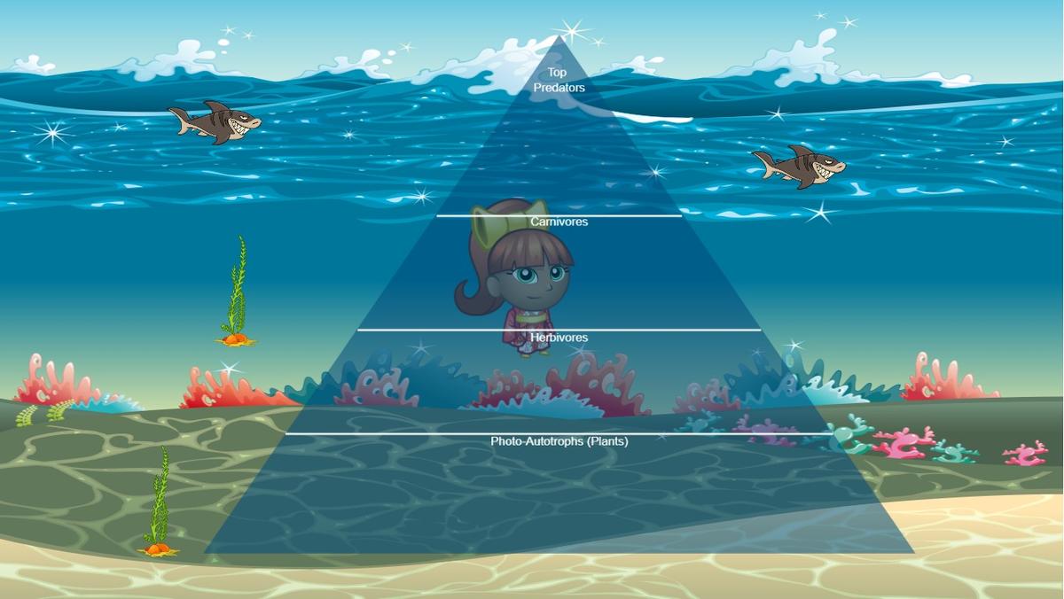 Ocean Ecological Pyramid