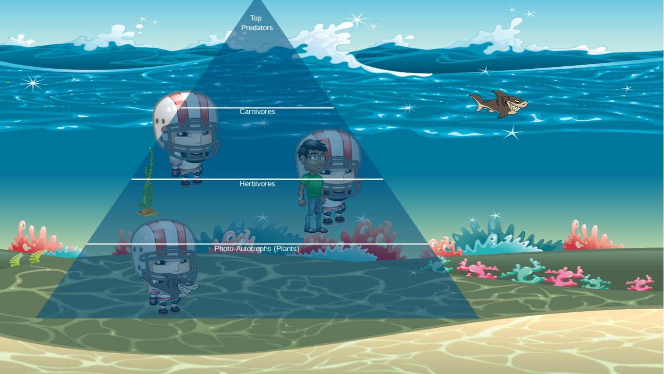 Ocean Ecological Pyramid