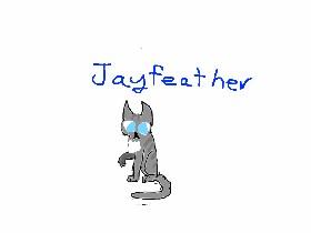 Jayfeather Speed Draw