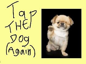 Tap the Dog (again) 1