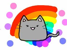 dacing kitty rainbow wifi