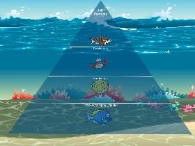 Ecological Pyramid 1