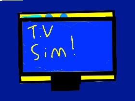 T.V Simulator!