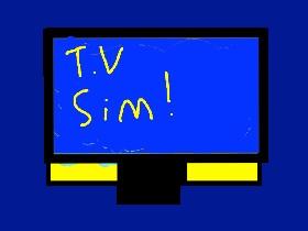 T.V Simulator! 2