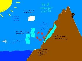 The water cycle 1