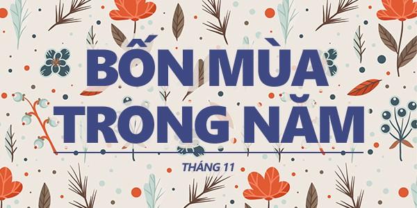 Bốn mùa trong năm