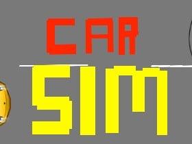 Car Sim 🏎🚗🚙